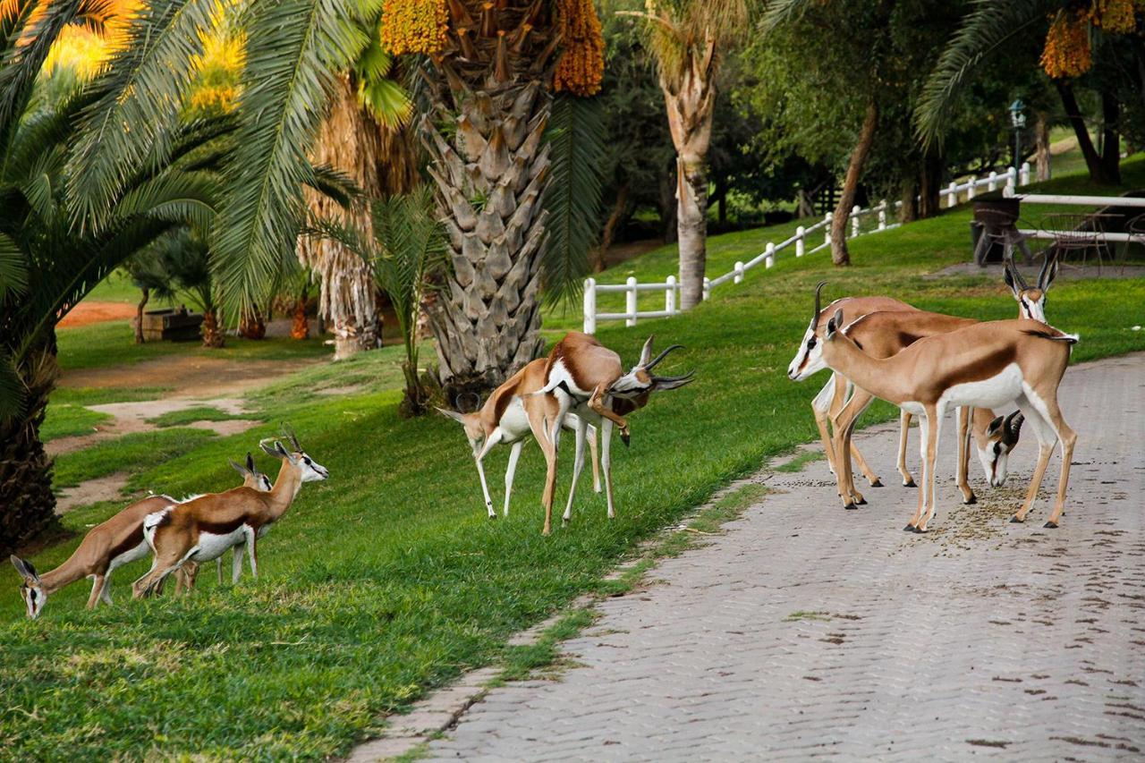 Ikaia River Lodge Keimoes المظهر الخارجي الصورة